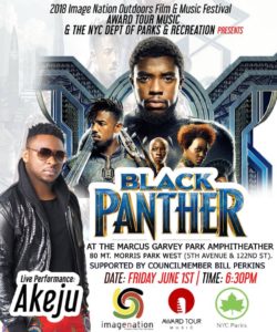 BLACK PANTHERS